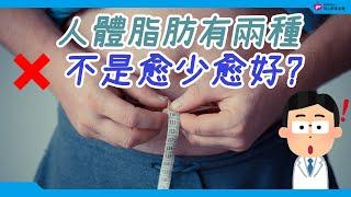 人體脂肪有兩種 不是愈少愈好