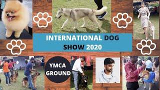 International Dog Show Chennai 2020 | YMCA Ground | Vijay prabhakaran dogs | SE's Shootout