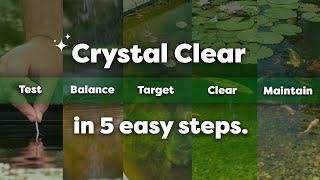 The 5 Step Routine for a Healthy & Clear Pond (Envii Product Guide)