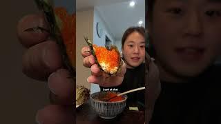 Long story short l'm in Nz for a week so here's one of my most viral videos #fishroe #viral