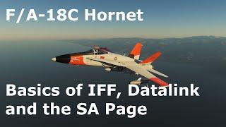 DCS World Tutorials - F/A-18C Hornet - Basics of IFF, the Link16 Datalink, and the SA Page