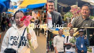 Every Thursday plant market at Kalimpong|| @ajvlog4128