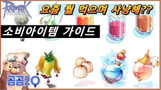 라그나로크 소비아이템 가이드