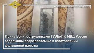 Ирина Волк: Сотрудниками ГУЭБиПК МВД России задержаны подозреваемые в изготовлении фальшивой валюты