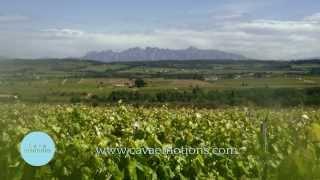 Cava Emotions: Beautiful Penedès