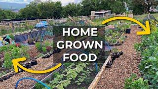 Full Garden Tour | Self Sufficient Vegetable Garden - almost! (June 2022)