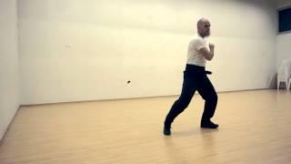 Wu Mei Kung Fu Israel -  Sap Yi Dei Ji  Form