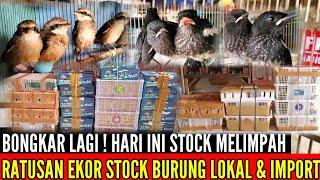  BONGKAR‼️MASUK RATUSAN EKOR HARI INI BURUNG LOKAL & IMPORT SEMUA BISA DINEGO 0838-7553-6945