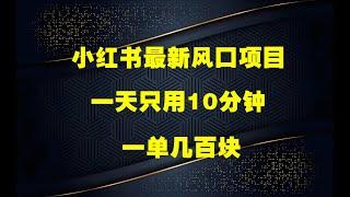 小红书最新风口项目，一天只用10分钟，一单几百块，小白简单无脑操作!