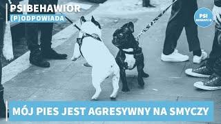 Mój pies jest agresywny na smyczy.