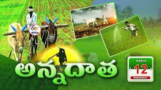 అన్నదాత | 12th March 2025 | Annadata | Full Bulletin | ETV Andhra Pradesh