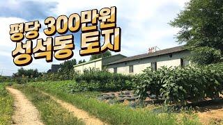 (토지 급매물) 일산 성석동 토지 매매 급매 평당 300만원 (계획관리토지 / 서울 근교 경기도 고양시 일산)