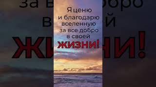 Благодарность - ключ к счастью!  #meditation #аффирмации #позитив #позитив
