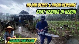 Tetap semangat lanjutkan aktivitas saat hujan deras dan angin kencang di kebun