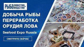 Добыча рыбы, переработка и орудия лова | Seafood Expo Russia 2023