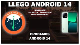 Android 14 Llego A Xiaomi ! - MIUI Con Android 14 En Xiaomi 13