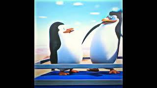Pinguin Madagaskar Momen kece