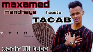 maxamed maandhaye hees cusub tacab with lyrics by sidwaa studio