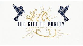 The Gift of Purity - Wednesday Night Bible Study (10/02/2024)