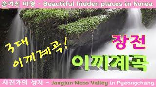 장전 이끼계곡 - 3대 이끼계곡 /숨은 비경/ 사진가 성지 Beautiful hidden places in Korea - Jangjun Moss Valley / Pyungchang