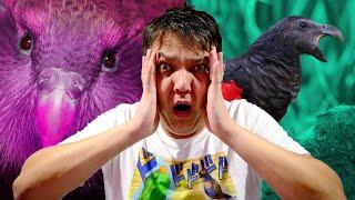 Top 5 Bizarre Parrots You Don't Want