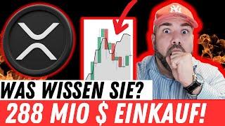 XRP: $288 MILLION WAL EINKÄUFE! WAS WISSEN SIE? 3$ HEUTE ABEND? RIPPLE CEO BEI 60 MINUTES