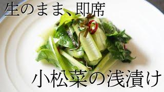 生のままで簡単！小松菜の浅漬けの作り方【さっぱりが美味しい。即席ですぐに食べられる】