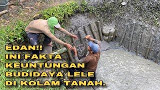 4 KELEBIHAN BUDIDAYA LELE DIKOLAM TANAH