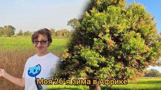 #94 Какая она, наша Африканская Зима?