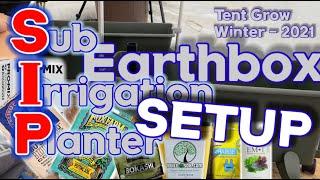 Earthbox Sub-Irrigation Planter | Probiotic Living Soil, Complete Grow | Setup | Winter 2021