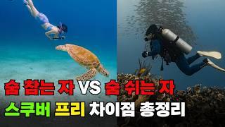 프리다이빙 vs 스쿠버다이빙 차이점 여행 가기 더 좋은 자격증은?