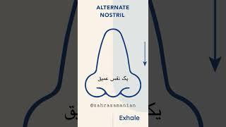 با من نفس بکش🫁 #مدیتیشن #مراقبه #تنفس #breathing #breath #body #meditation #farsi #persian #mind