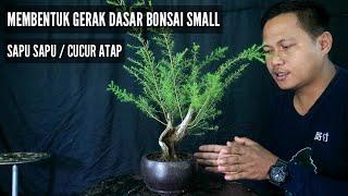 Membentuk gerak dasar bonsai small sapu sapu/cucur atap