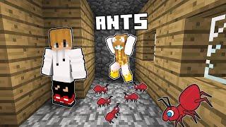 I Fooled my Friend with ANTS in Minecraft