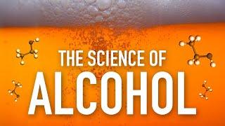 How Does Alcohol Work? The Effect it has on the Human Body, Explained