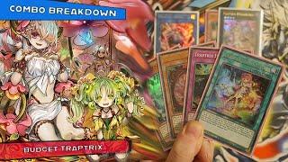 YUGIOH Traptrix Learning to Play In Depth Test Hand combos