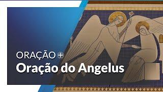 Aprenda a rezar a Oração do Angelus