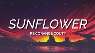 Sunflower - Rex Orange County (Lyrics)