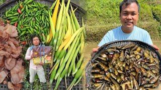 Collecting Wild Chilies and Wild Taro flowers | Handsome River Snails | Fishing and Collecting Video