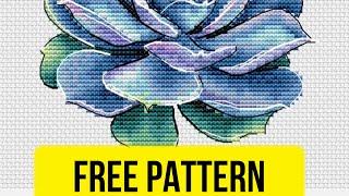  Free cross stitch pattern with succulent flower designed by Svetlana Shakhnovich.