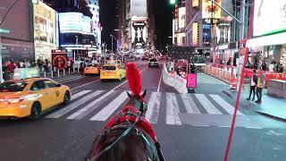 Horse Carriage Ride in Times Square by NYC Adventures