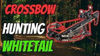 Cross-Bow Hunting From A Tower Stand! Call Of The Wild