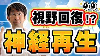 この視野なら回復する？視野の違いは？神経栄養因子とは。