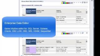 Compuware Topaz: Intuitive Cross-platform Data Discovery, Visualization and Editing
