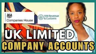 SETTING UP LIMITED COMPANY ACCOUNTS FOR UK SMALL BUSINESS OWNERS