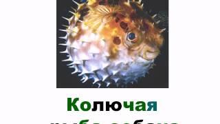 На море 3