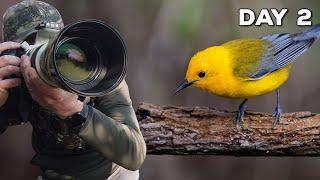 Photographing the Biggest Week in American Birding