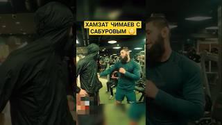 ЧИМАЕВ И САБУРОВ#сабуров #нурлансабуров #хамзатчимаев #чимаев #chimaev #ufc #чбд #мма #mma #popmma