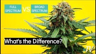 Broad Spectrum CBD vs Full Spectrum CBD