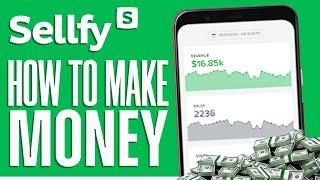 How To Earn Money On Sellfy (Tutorial for Beginners)